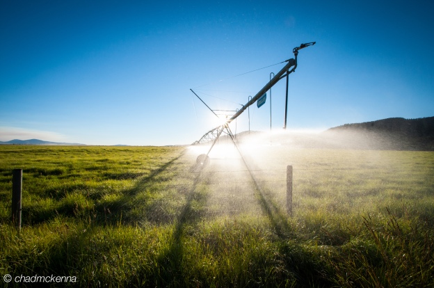 Watering the Fields in Montana